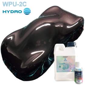 Trasparente all'acqua bi-componente poliuretano WPU 2C