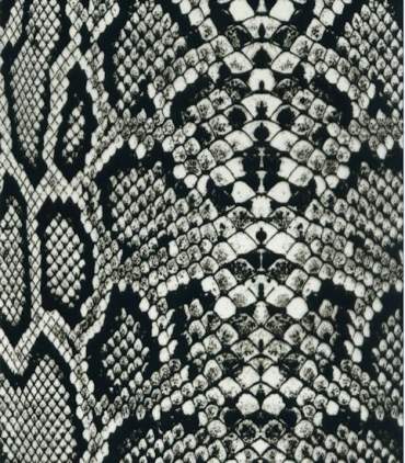 Film per stampa idrografica SNAKE