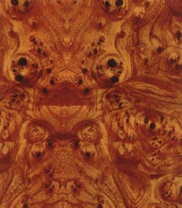 Film per stampa idrografica GW2251