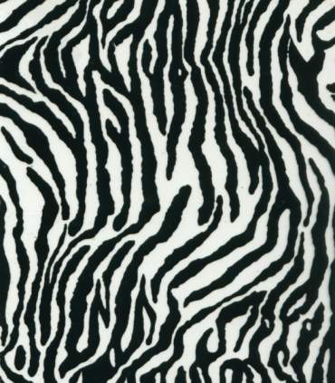 Film per stampa idrografica