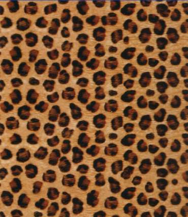 Film per stampa idrografica