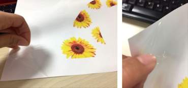 Pellicola di trasferimento idrografico vergine da stampare 21cm o 30cm