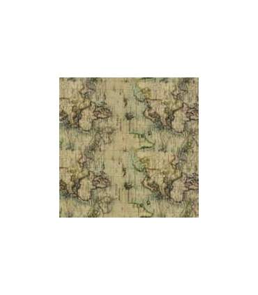 Film per stampa idrografica