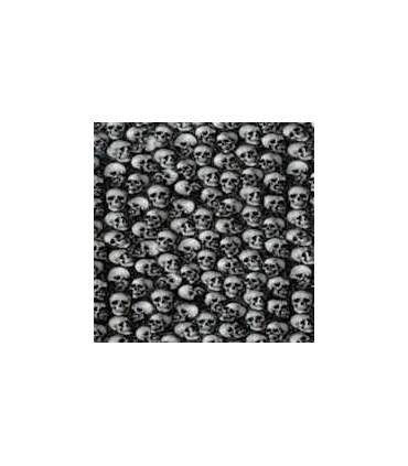 Film per stampa idrografica