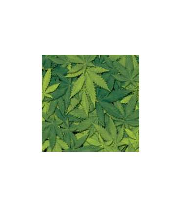 Film per stampa idrografica