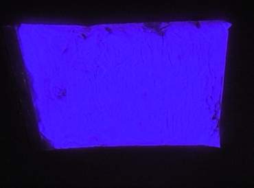 Polvere fosforescente