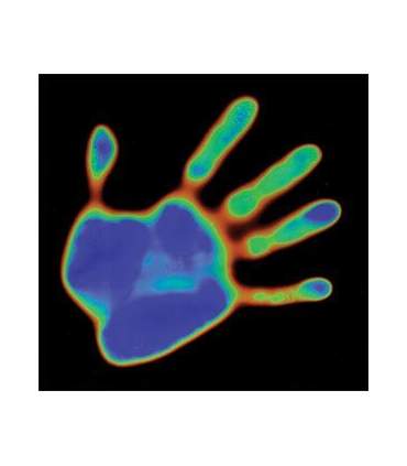 Termocromica Multicolore