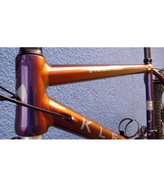 Vernice per bici Camaleonte – 28 colori a scelta