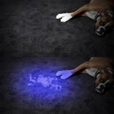 Lampada UV tipo mini torcia portatile