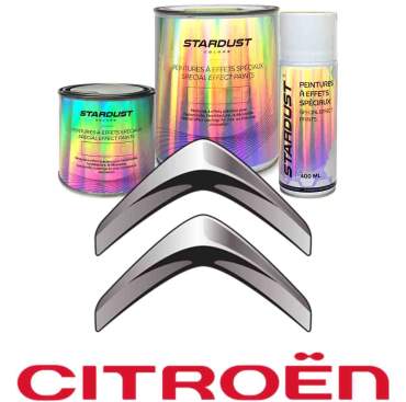 Vernice automobile bi-strato con solvante da verniciare - tinta costruttore