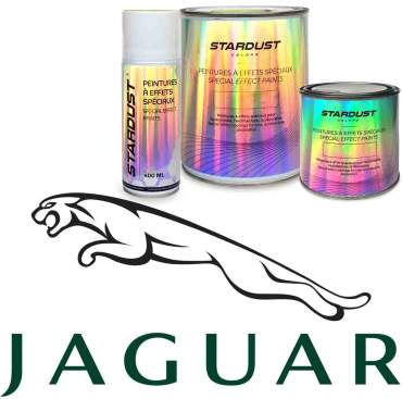 Vernici auto Jaguar - Codici colori Jaguar in base a solventi