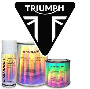 Vernici per moto BUELL - Colori del produttore in vernice a base solvente