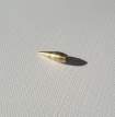 Ugello 0.3mm Per Aerografo 182