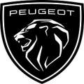 Vernice auto PEUGEOT