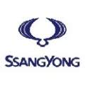 Vernice auto SSANGYONG